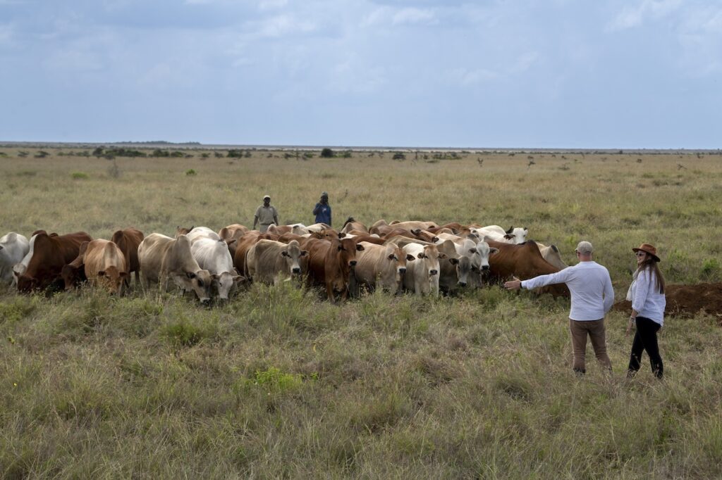 A 17,000-hectare private conservancy, complete exclusivity, rare northern wildlife and a design aesthetic unlike anything else in East Africa — &Beyond's newest lodge is rewriting the rules of the Kenyan safari.