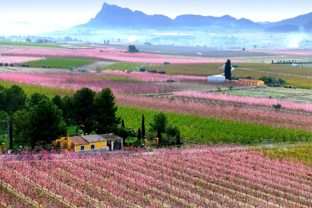 A Traveller's Guide to the Regions of Spain: What Each Has to Offer