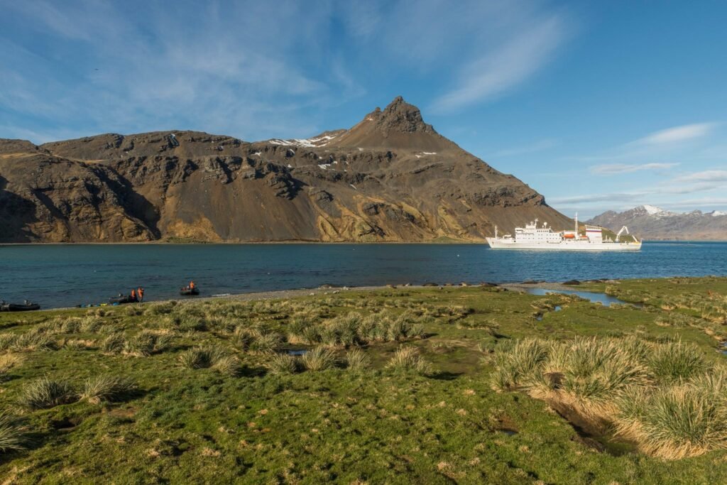 South Georgia Itineraries: The Ultimate Guide to One of the World’s Most Spectacular Expedition Cruises