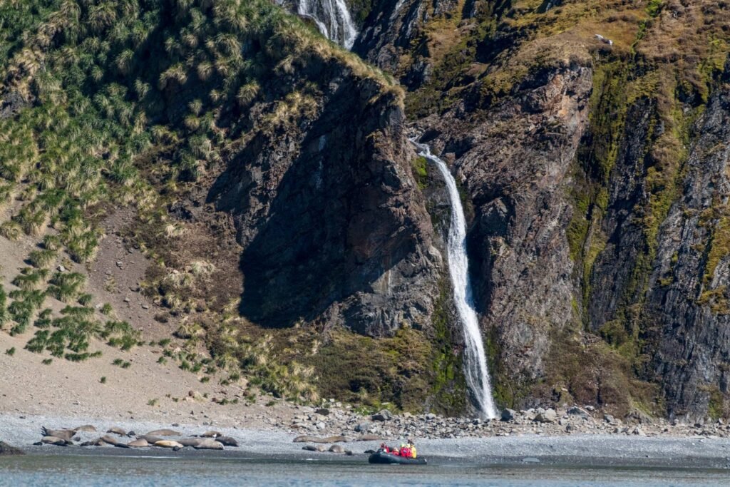 South Georgia Itineraries: The Ultimate Guide to One of the World’s Most Spectacular Expedition Cruises