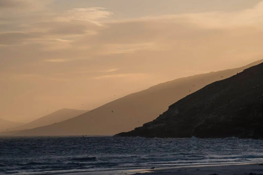 Often overlooked, the remote Falkland Islands are a fantastic add-on destination to any Antarctica or South Georgia itinerary. Here's what you need to know before you go.