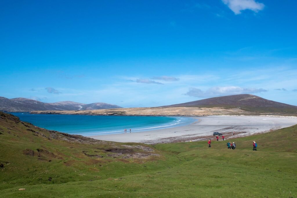 Falkland Islands Wildlife: A First-Timer’s Guide to One of the Southern Ocean’s Greatest Wildlife Spectacles