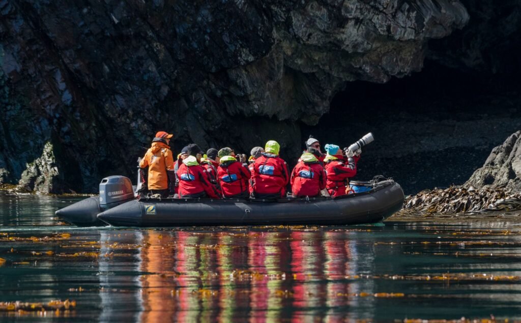 Deciding on an Arctic or an Antarctic expedition cruise can be tricky. We've broken down the pros and cons of each to help you decide. 