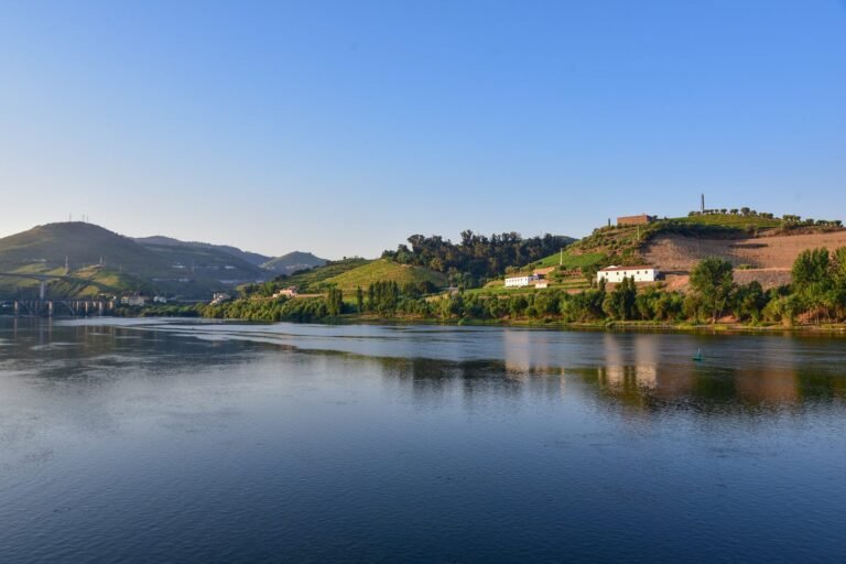 Best Luxury River Cruise Lines on the Douro for 2026