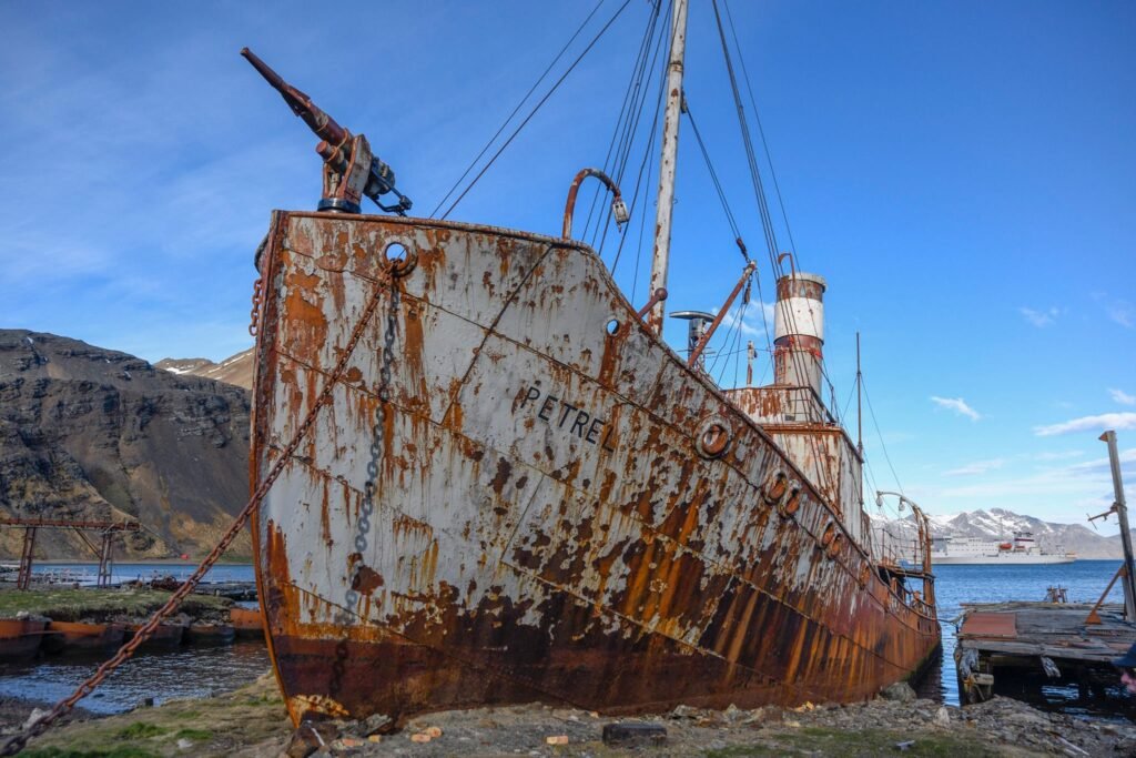 Nick Walton braves the tumultuous seas and wicked winds of the South Atlantic to discover South Georgia Island, one of the world’s most remarkable wildlife destinations