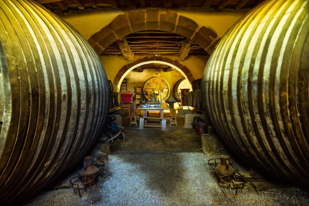 Best Luxury River Cruise Lines on the Douro for 2026