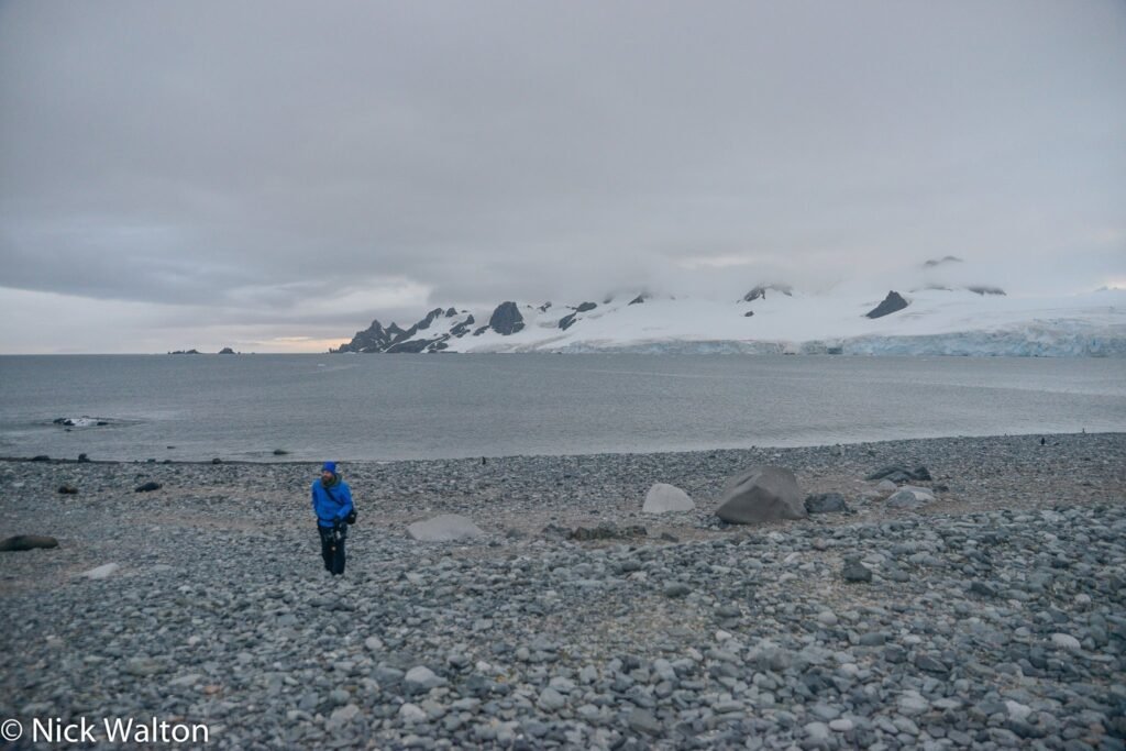 Is an Arctic Expedition Cruise For Me? Everything You Need to Know Before You Set Sail