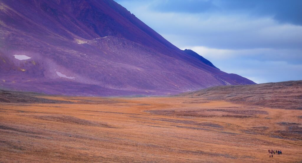 Is an Arctic Expedition Cruise For Me? Everything You Need to Know Before You Set Sail