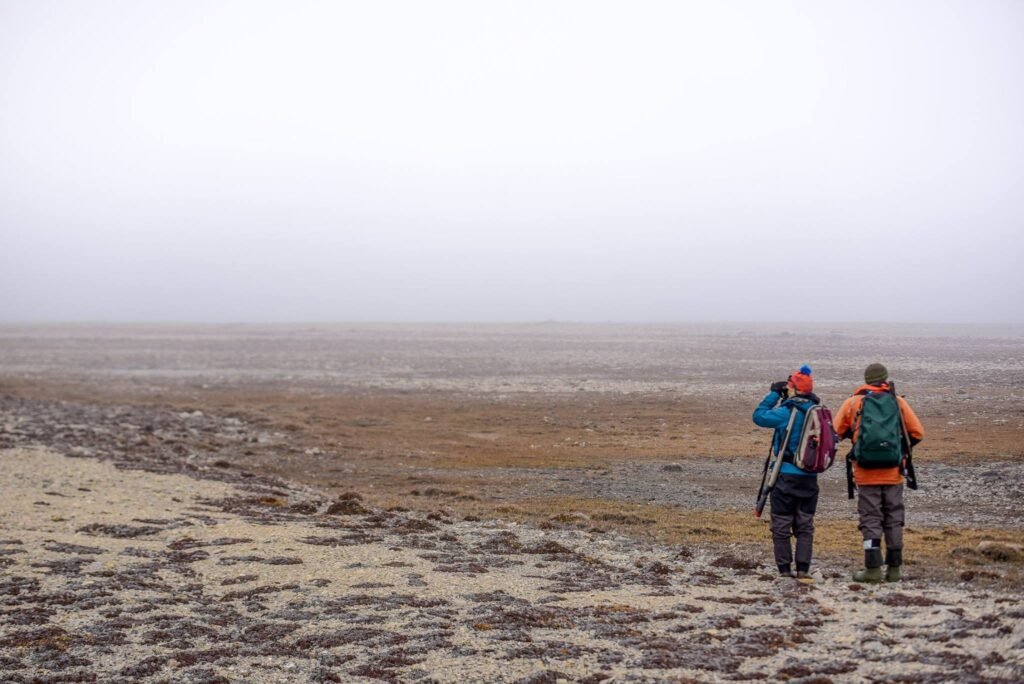 Is an Arctic Expedition Cruise For Me? Everything You Need to Know Before You Set Sail