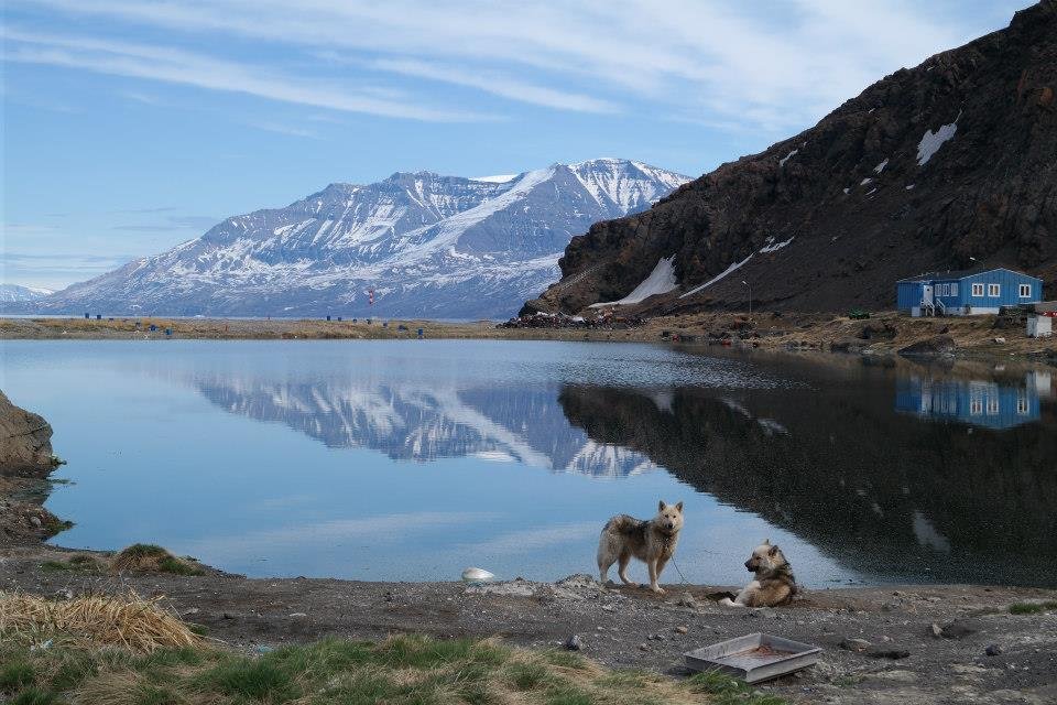 Is an Arctic Expedition Cruise For Me? Everything You Need to Know Before You Set Sail