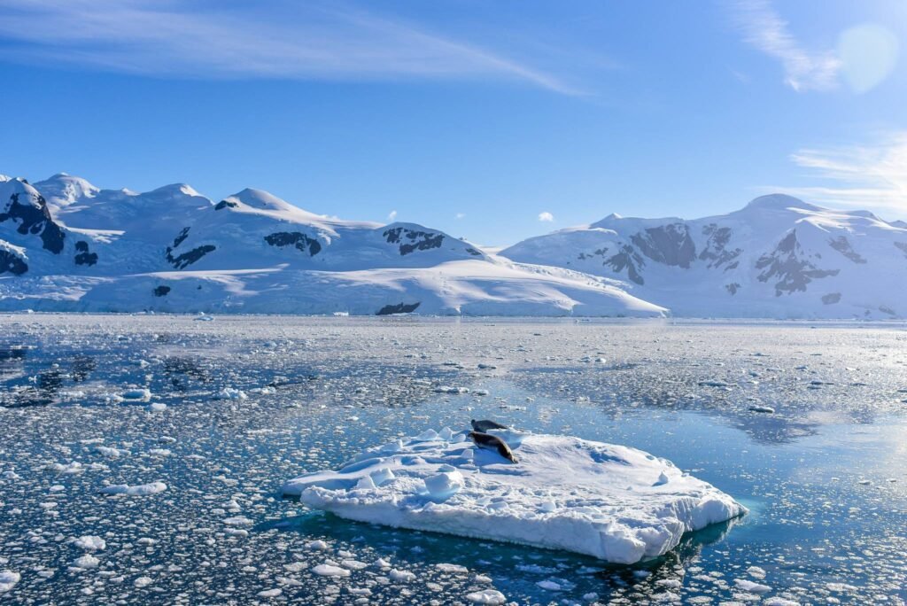 Deciding on an Arctic or an Antarctic expedition cruise can be tricky. We've broken down the pros and cons of each to help you decide. 