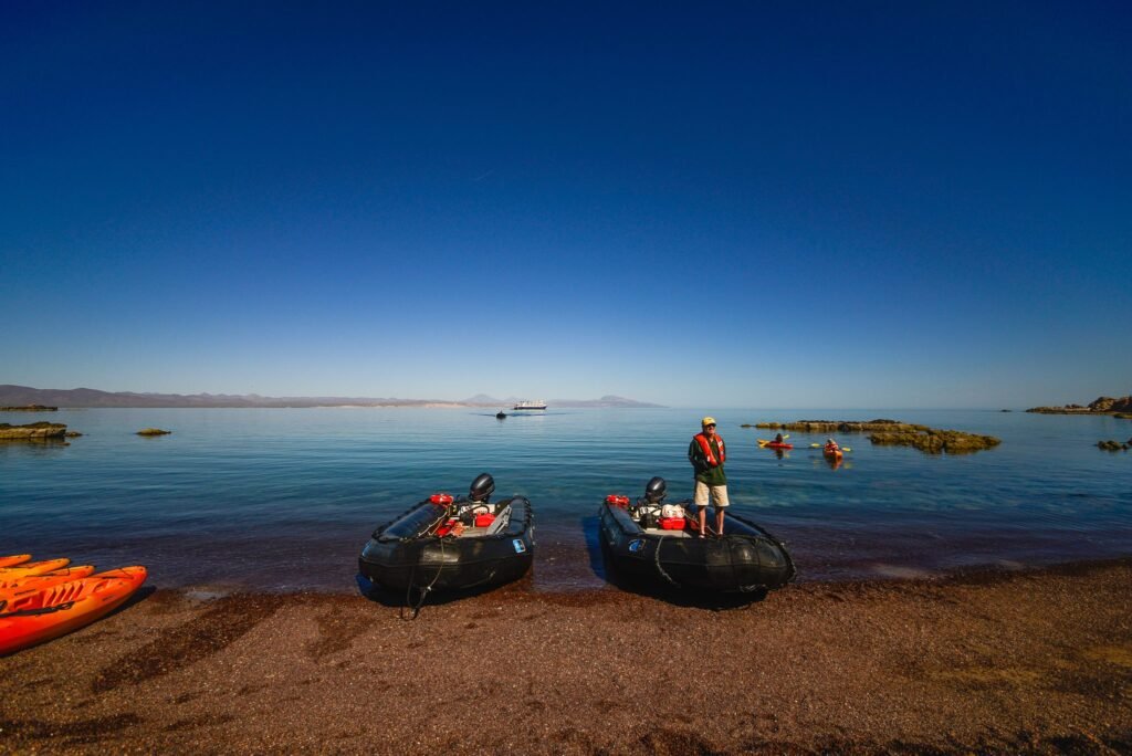 Best Luxury Cruise Lines on the Sea of Cortez for 2026