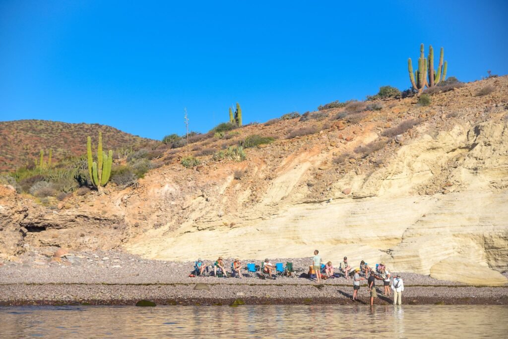 Best Luxury Cruise Lines on the Sea of Cortez for 2026