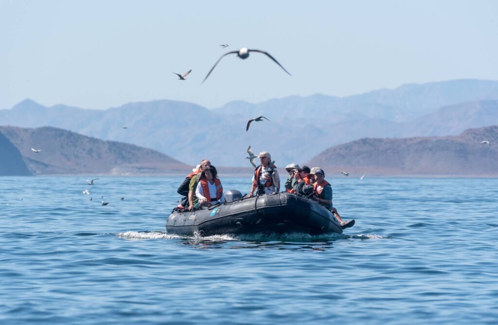 Best Luxury Cruise Lines on the Sea of Cortez for 2026