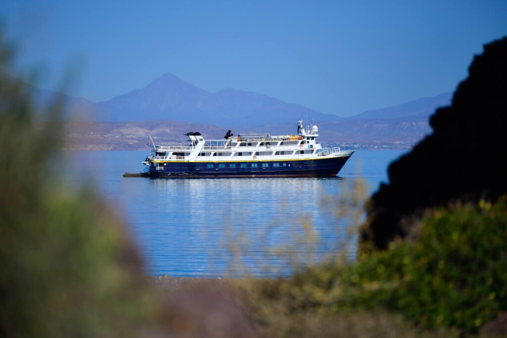 Best Luxury Cruise Lines on the Sea of Cortez for 2026