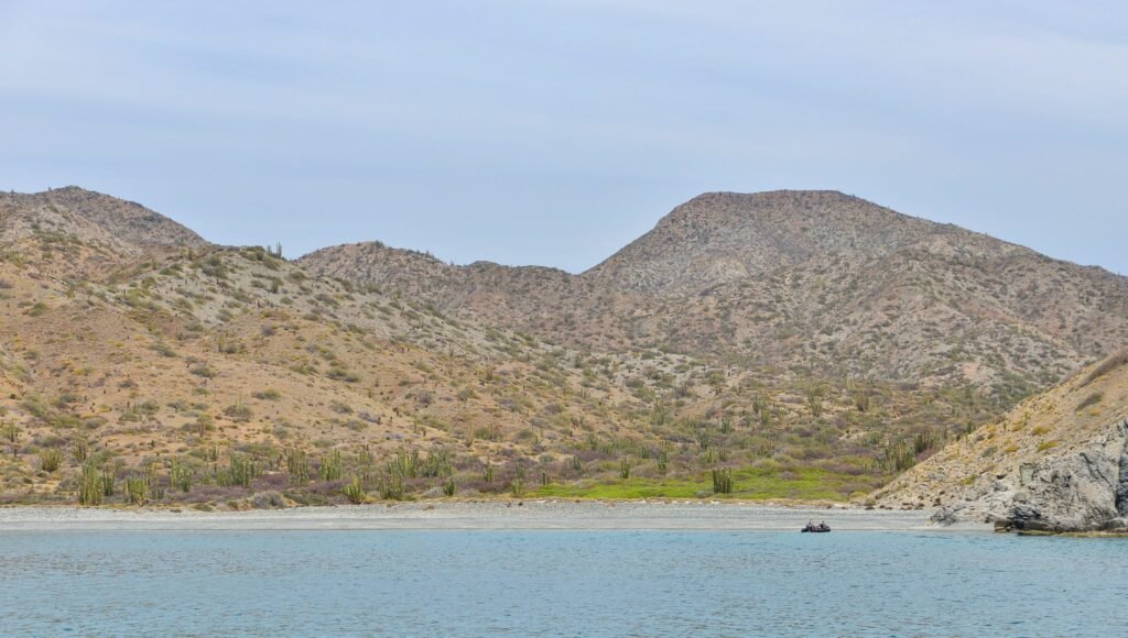 Best Luxury Cruise Lines on the Sea of Cortez for 2026