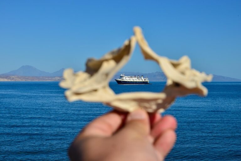 Sailing the Sea of Cortez: An Expedition Through the World's Greatest Marine Wilderness
