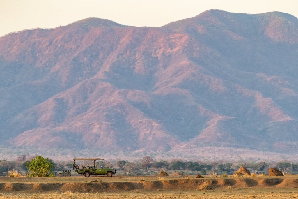 Is a Luxury Safari Right for Me? Everything You Need to Know Before You Go