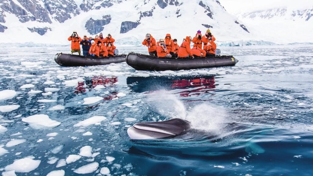 Polar Expedition Videography Tips: How to Capture Stunning Footage in the Arctic and Antarctic