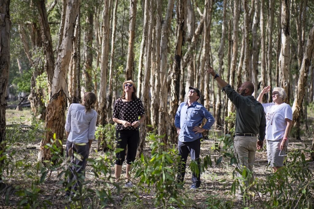 Bamurru Plains: True Bush Luxury in Australia’s Northern Territory