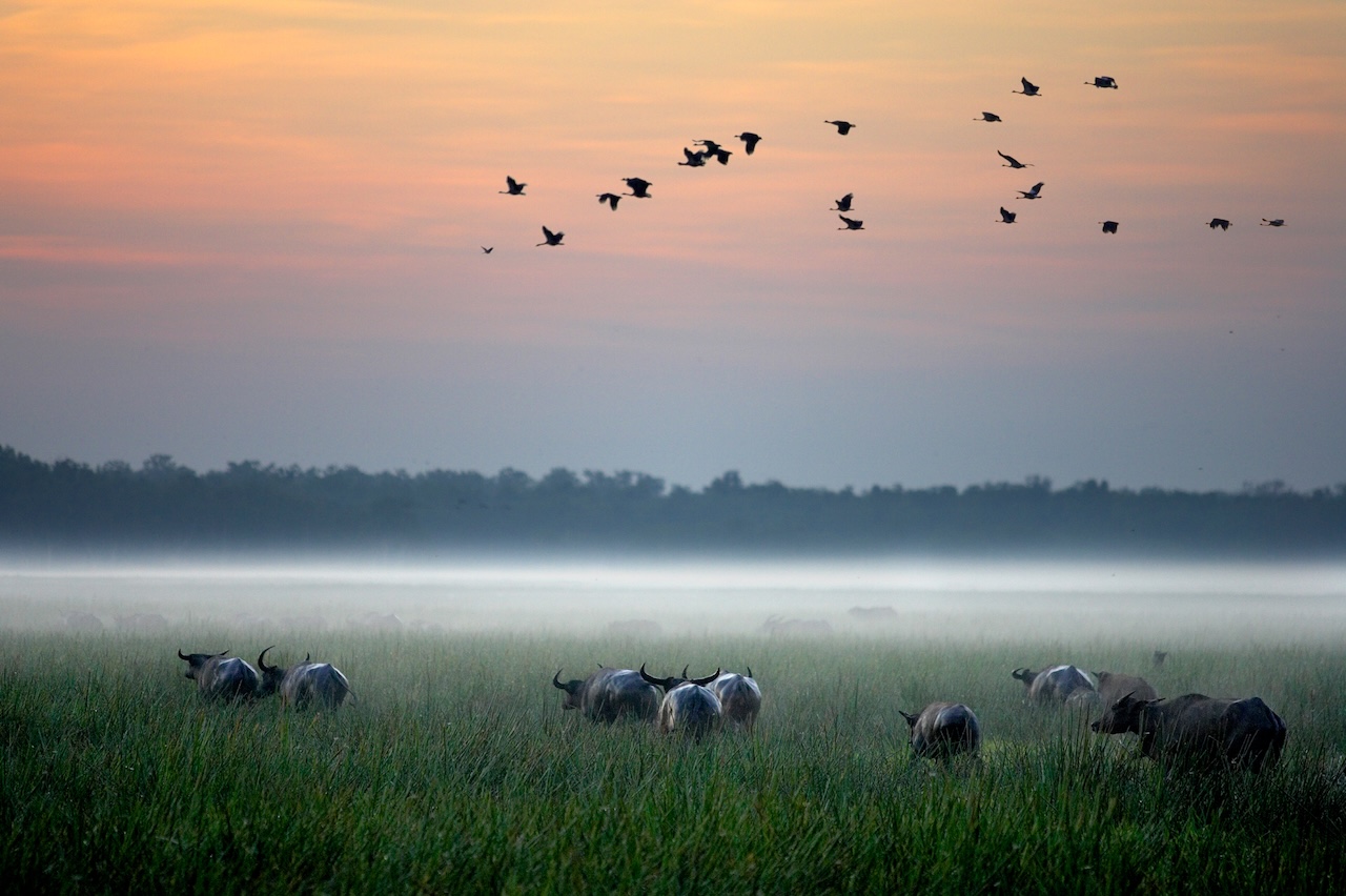 Bamurru Plains: True Bush Luxury in Australia’s Northern Territory