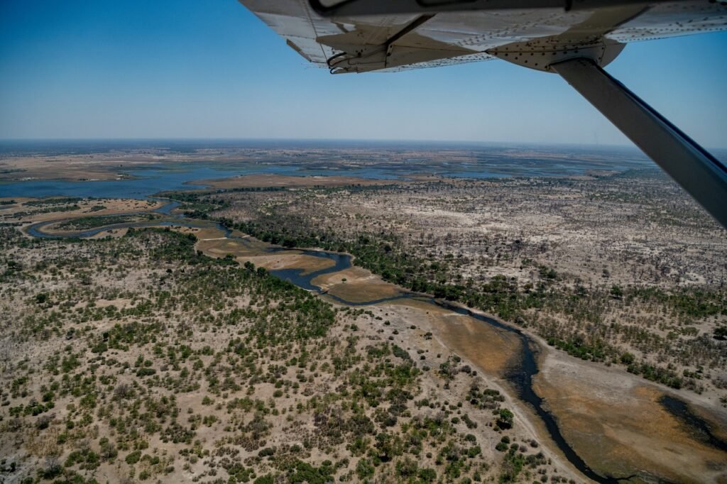 A Safari Symphony in Botswana's Wild Heart: Exploring the Okavango Delta