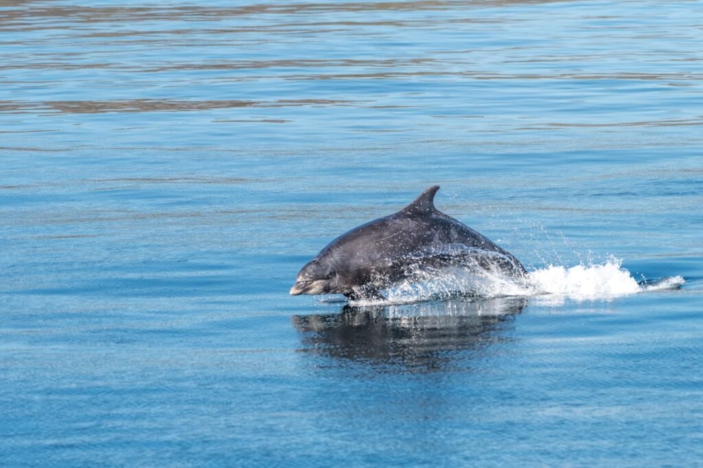 Cruising the Outer Hebrides: Scotland's Wild Atlantic Edge with Hebrides Cruises