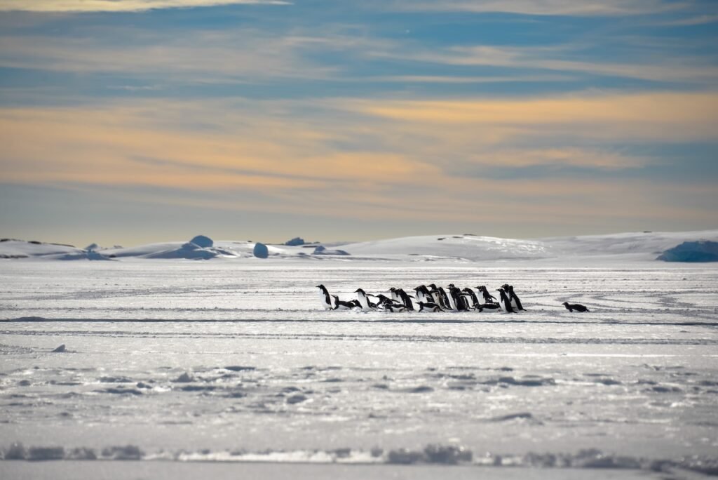 Polar Expedition Videography Tips: How to Capture Stunning Footage in the Arctic and Antarctic