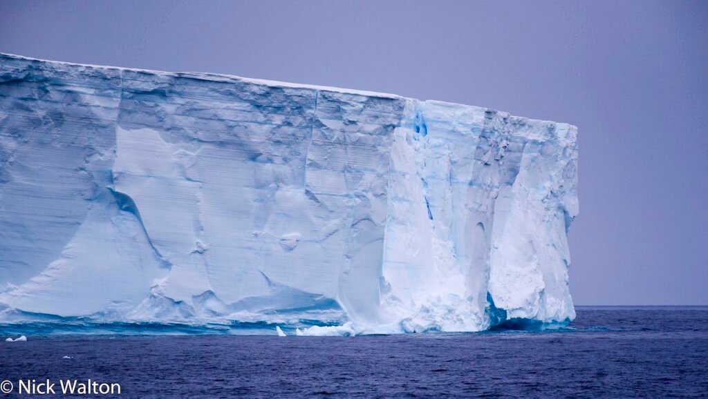 Is an Antarctic Expedition Cruise For Me? Everything You Need to Know Before You Set Sail
