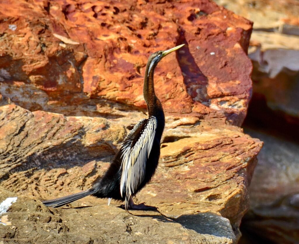 Cruising the Kimberley: Australia's Last Wilderness