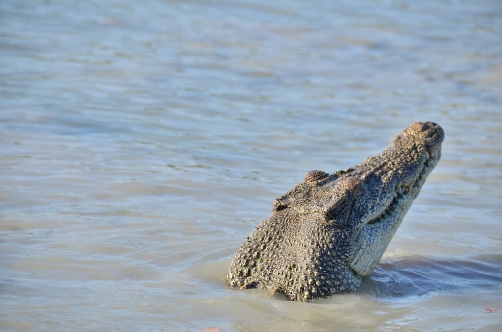 Cruising the Kimberley: Australia's Last Wilderness