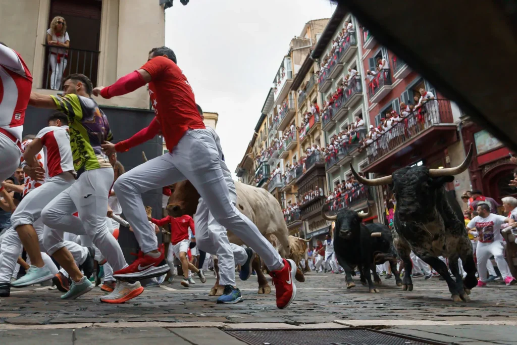 Navarra
