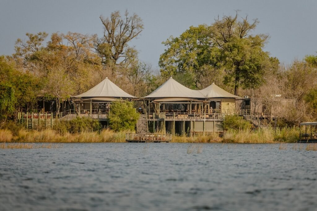 A Safari Symphony in Botswana's Wild Heart: Exploring the Okavango Delta