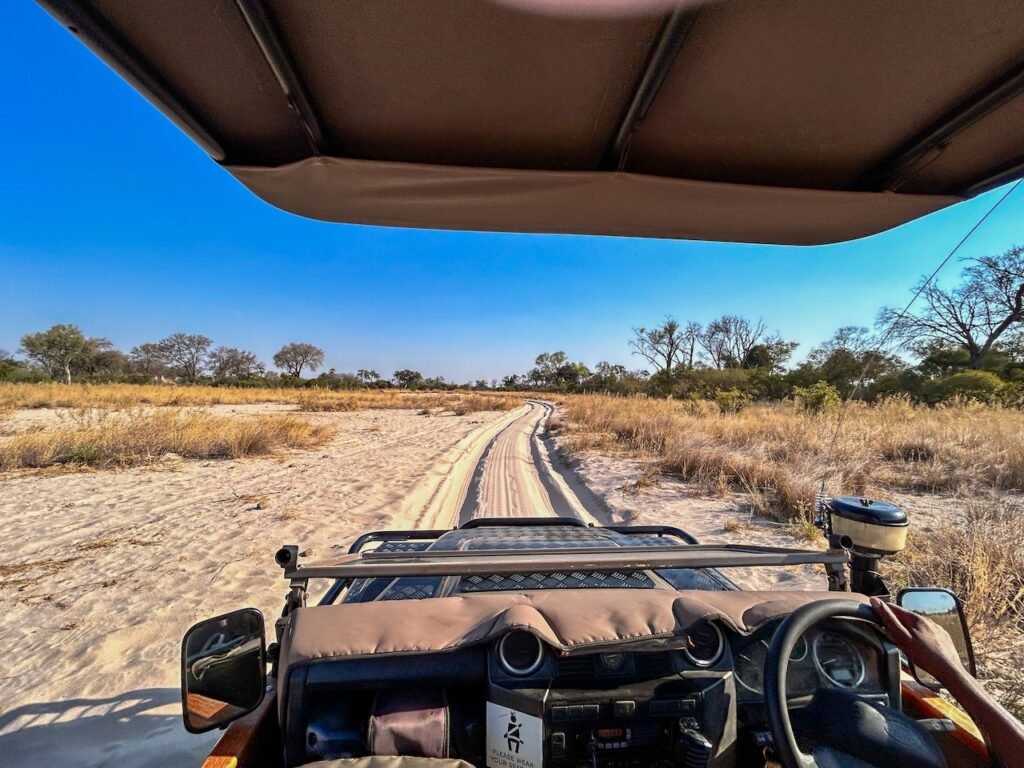 A Safari Symphony in Botswana's Wild Heart: Exploring the Okavango Delta