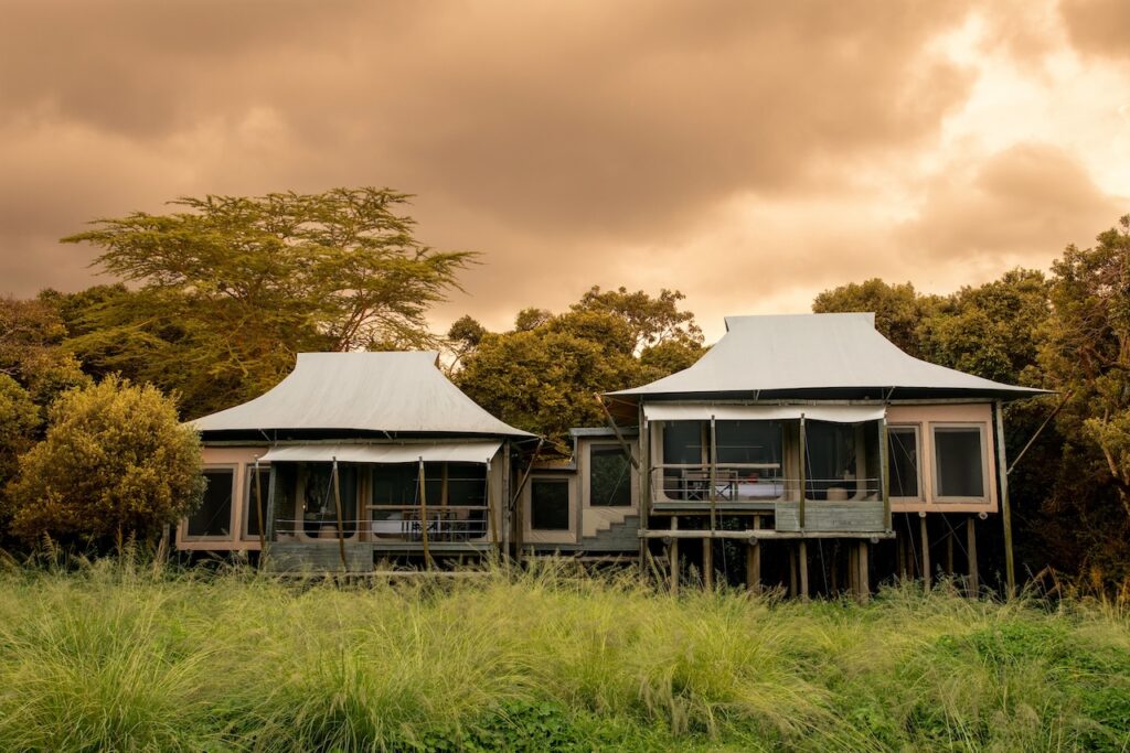 The Best Luxury Lodges and Mobile Camps in the Masai Mara: A Definitive Guide for 2027