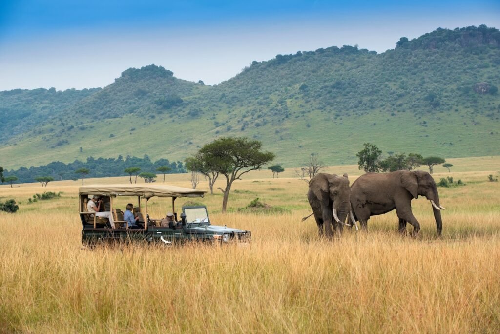 The Best Luxury Lodges and Mobile Camps in the Masai Mara