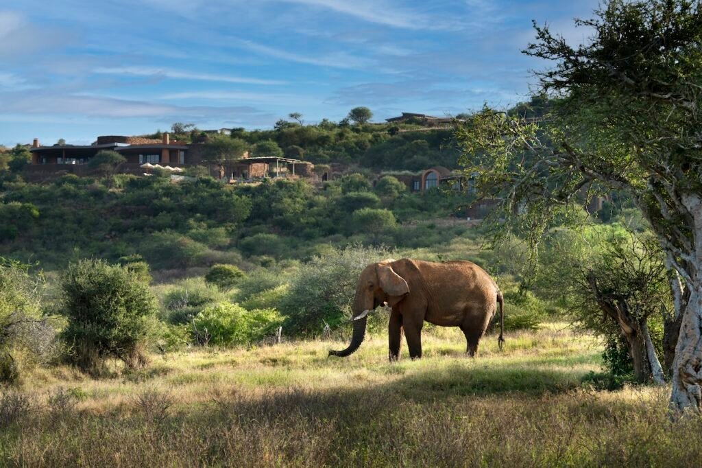 How to Plan Your Masai Mara Itinerary