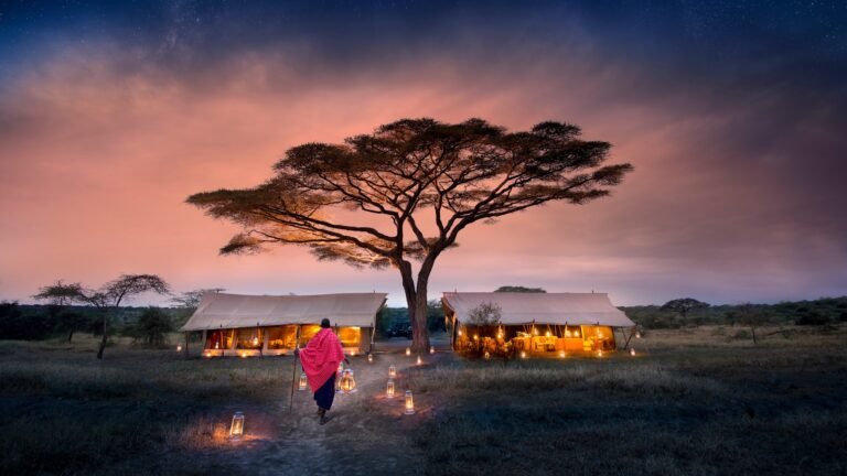 The Best Luxury Lodges and Mobile Camps in the Serengeti: A Definitive Guide for 2027