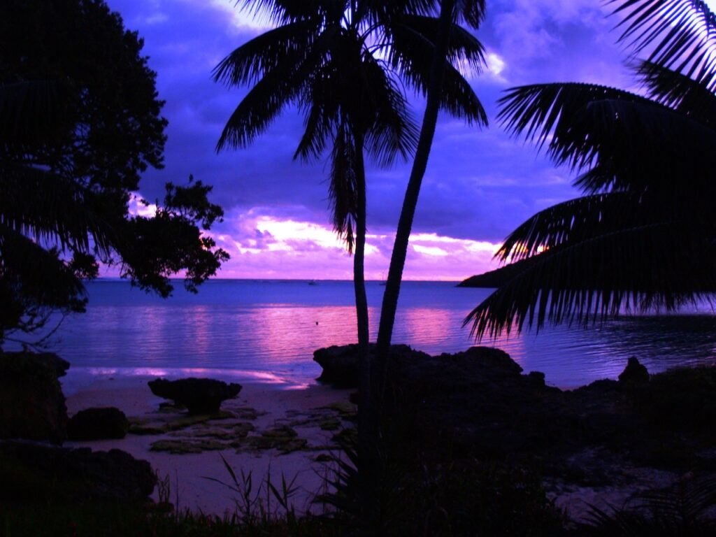 The Island at a Glance

LOCATION  700km north-east of Sydney, New South Wales

STATUS  UNESCO World Heritage Site

VISITOR CAP  400 at any one time

NATIVE PLANTS  241 species, 105 endemic

BIRD SPECIES  168 recorded

NOTABLE FEATURE  Ball's Pyramid — tallest volcanic stack in the world