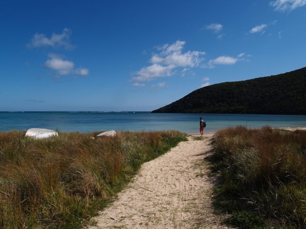 The Island at a Glance

LOCATION  700km north-east of Sydney, New South Wales

STATUS  UNESCO World Heritage Site

VISITOR CAP  400 at any one time

NATIVE PLANTS  241 species, 105 endemic

BIRD SPECIES  168 recorded

NOTABLE FEATURE  Ball's Pyramid — tallest volcanic stack in the world