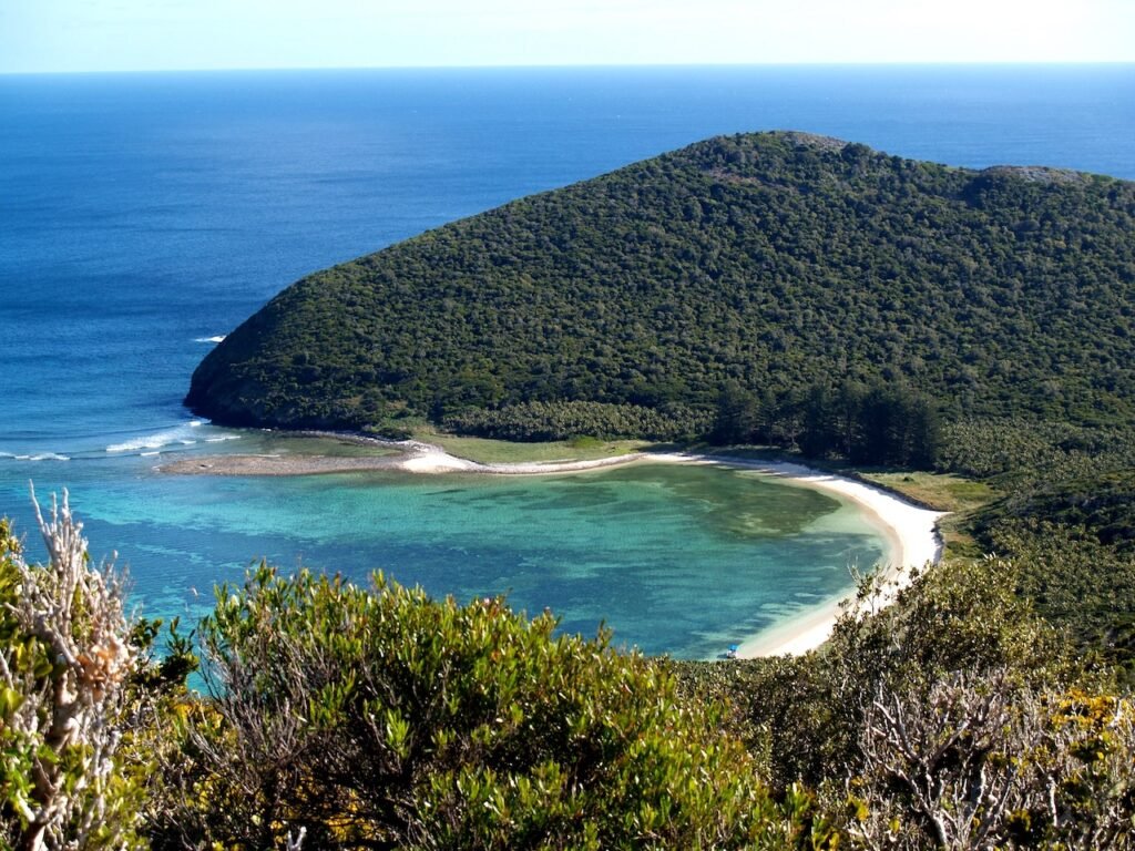 The Island at a Glance

LOCATION  700km north-east of Sydney, New South Wales

STATUS  UNESCO World Heritage Site

VISITOR CAP  400 at any one time

NATIVE PLANTS  241 species, 105 endemic

BIRD SPECIES  168 recorded

NOTABLE FEATURE  Ball's Pyramid — tallest volcanic stack in the world