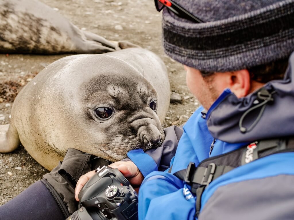 Polar Expedition Photography Tips: How to Capture Stunning Images in the Arctic and Antarctic in 2026