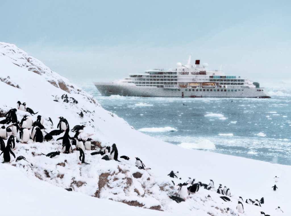 The Best Expedition Cruise Lines in 2026: The Ultimate Guide to Luxury Expedition Cruises