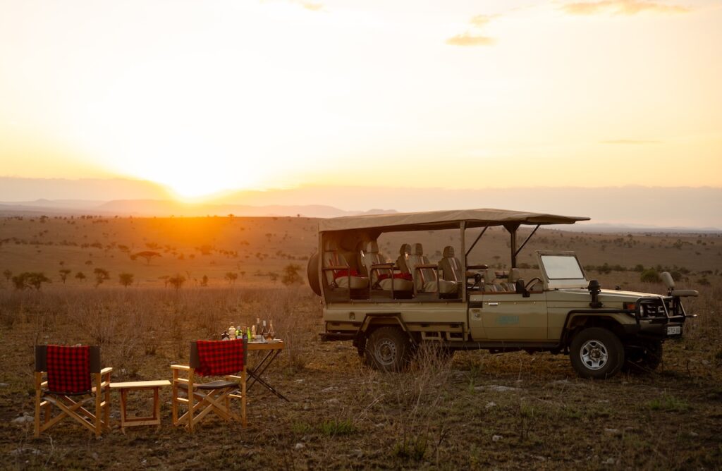 The Best Luxury Lodges and Mobile Camps in the Serengeti: A Definitive Guide for 2027