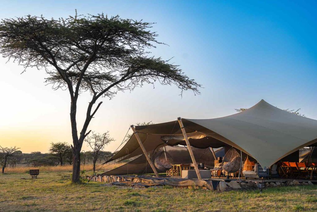 The Best Luxury Lodges and Mobile Camps in the Serengeti: A Definitive Guide for 2027