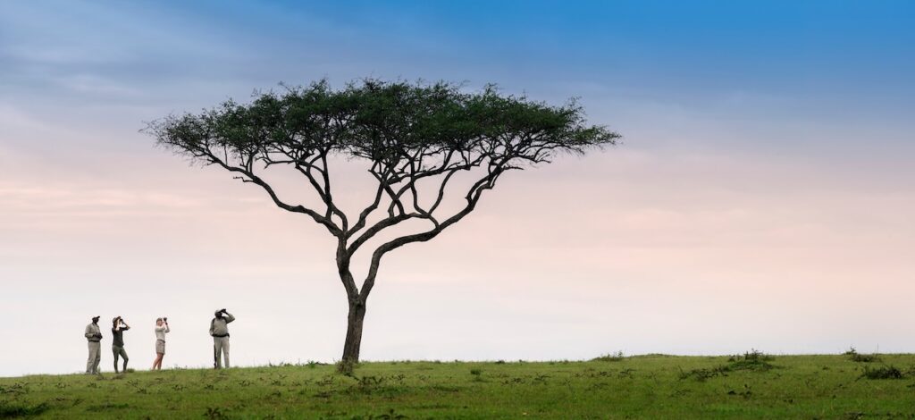 The Best Luxury Lodges and Mobile Camps in the Serengeti: A Definitive Guide for 2027