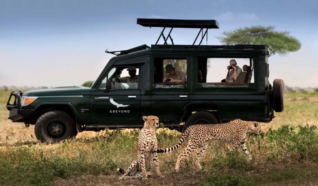How to Plan Your Serengeti Itinerary
