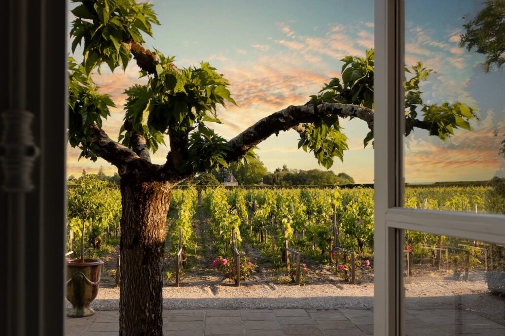 COMO Cordeillan-Bages brings the brand's signature philosophy of quiet luxury and immersive gastronomy to Pauillac, one of the world's most storied wine regions