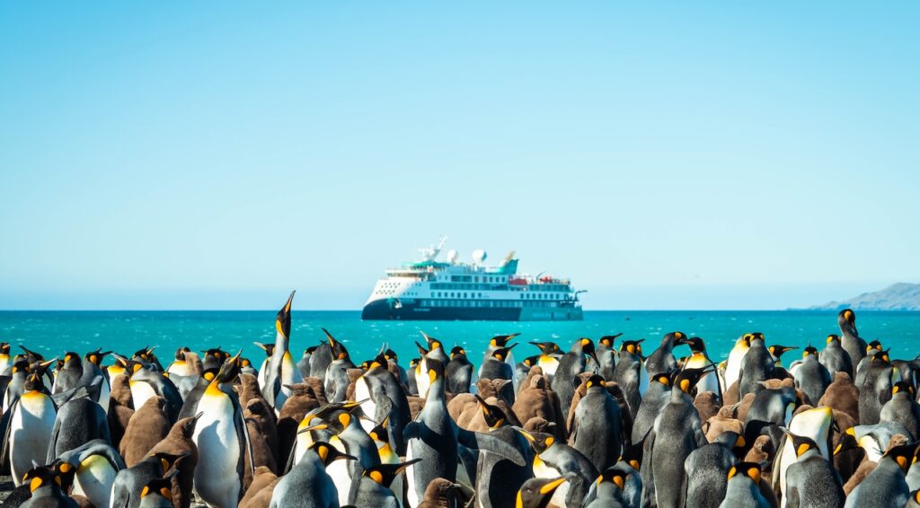 South Georgia Itineraries: The Ultimate Guide to One of the World’s Most Spectacular Expedition Cruises
