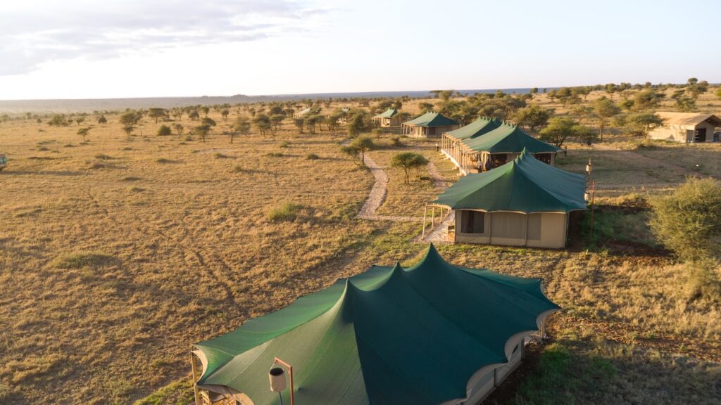 The Best Luxury Lodges and Mobile Camps in the Serengeti: A Definitive Guide for 2027